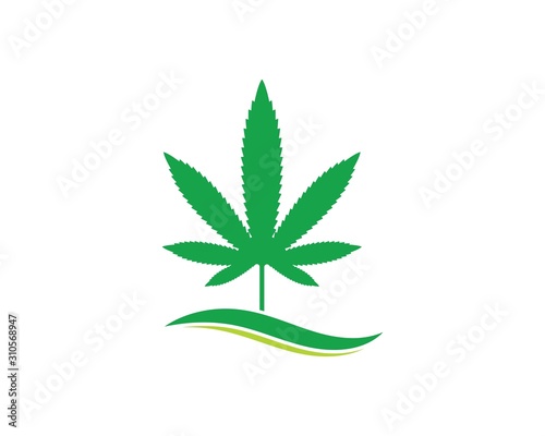 cannabis leaf vector icon illustration design