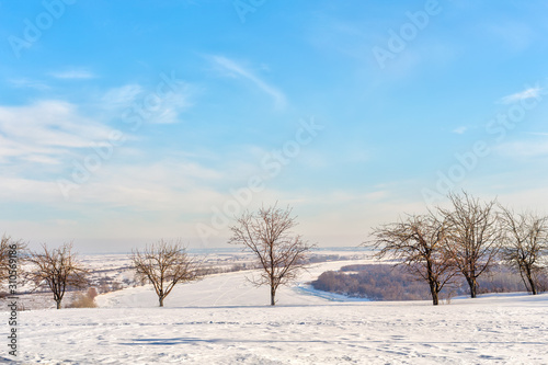 cold winter landscape