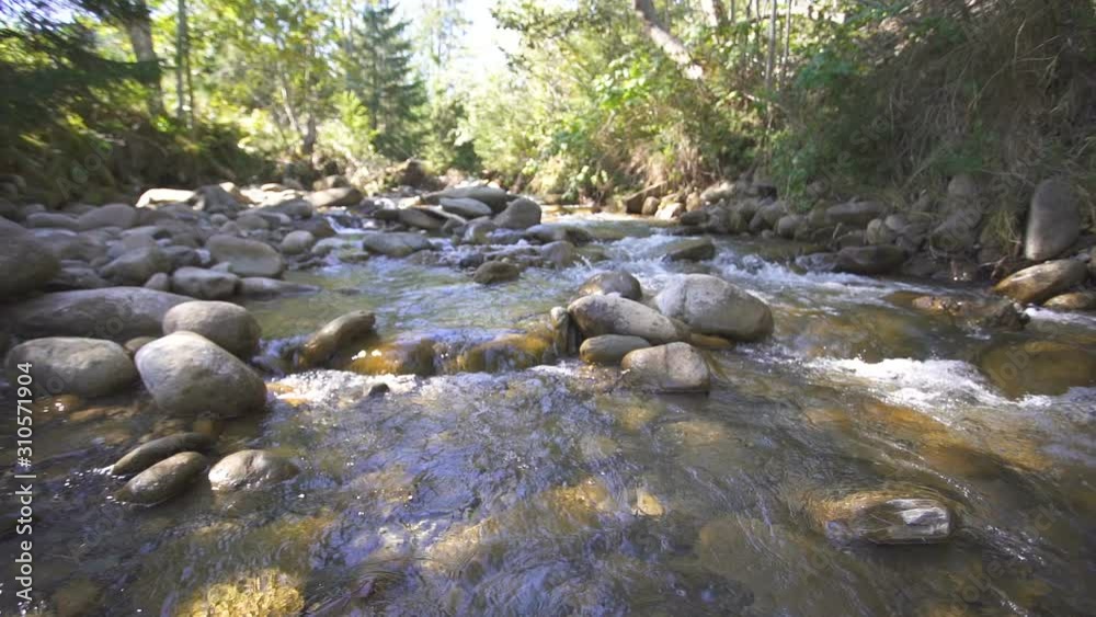 Landscape. Small mountain river, stream flow, water and stones. Beauty of nature, slow motion Landscape. Small mountain river, stream flow, water and stones. Beauty of nature, slow motion