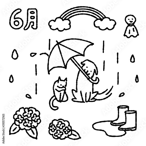 6月素材　犬と猫