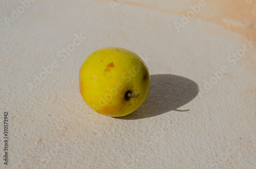 Mature Chinee Apple photo