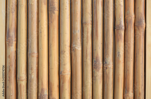 Fototapeta Naklejka Na Ścianę i Meble -  Vertical bamboo fence wall background.
