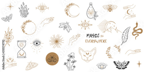 Vector witch magic design elements set. Hand drawn, doodle, sketch magician collection. Witchcraft symbols. Perfect for tattoo, textile, cards, mystery