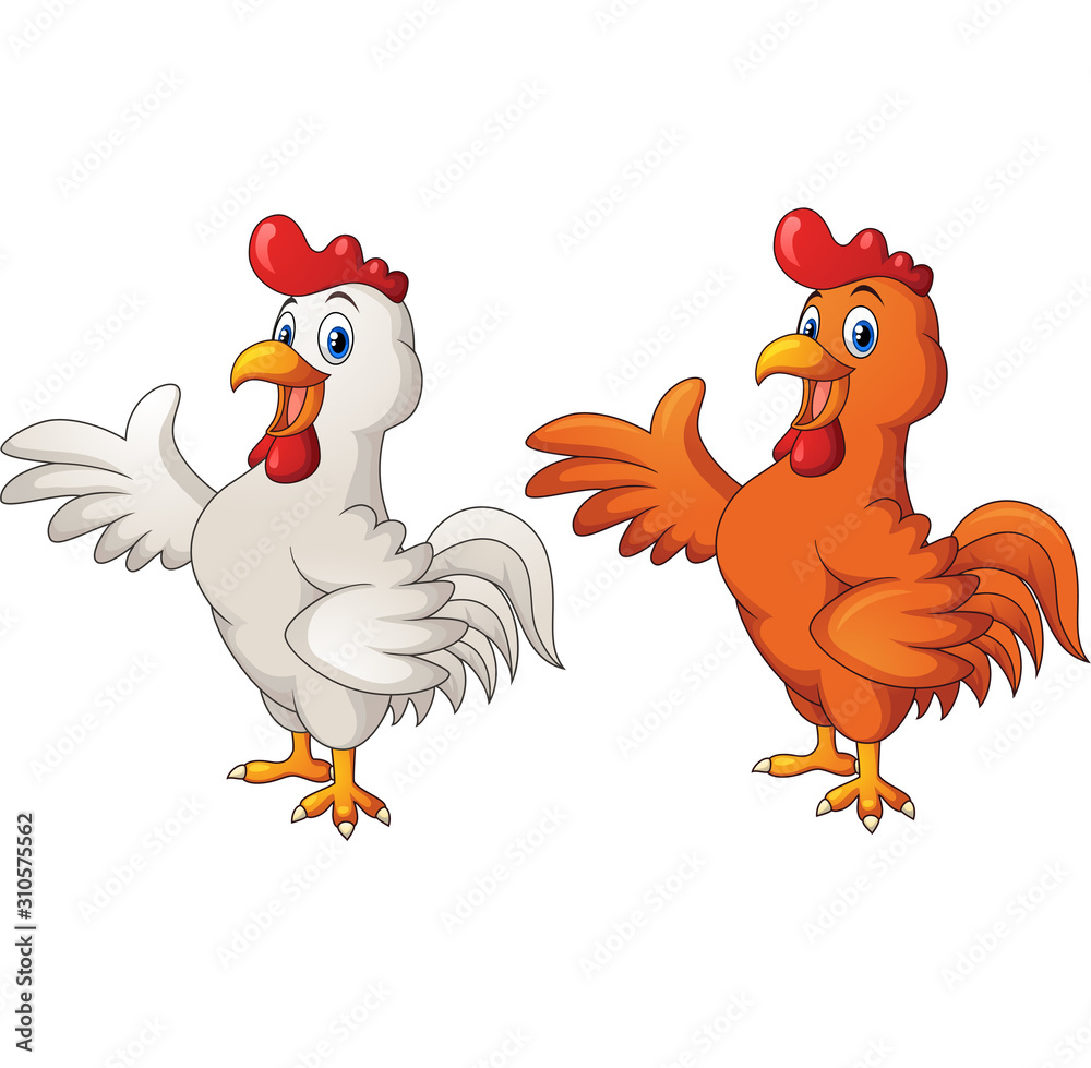 Cartoon rooster in a two different colors