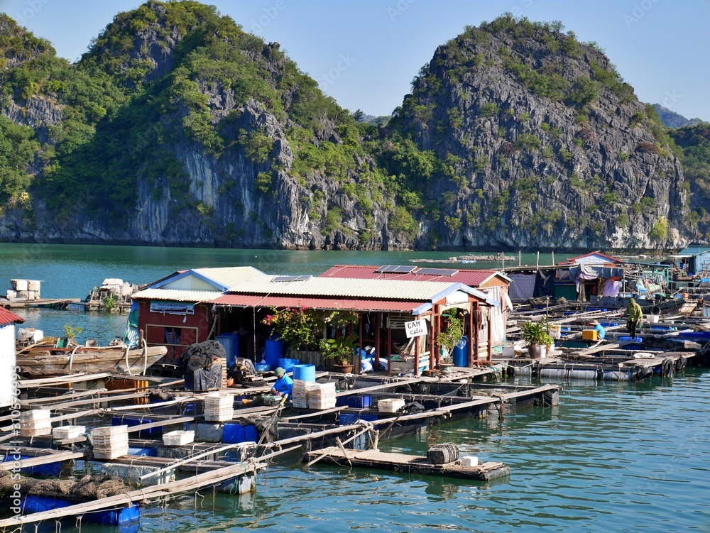 Floating fishing villages at Halong Bay, Vietnam