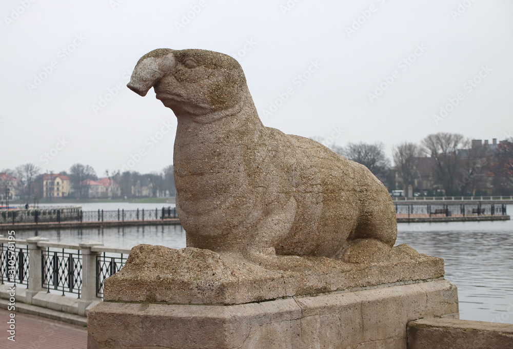 The sculpture made of artificial stone of a sea elephant was installed on the embankment of the Upper Pond in 1913. Now Russia, Kaliningrad. Photographed since December 2019.