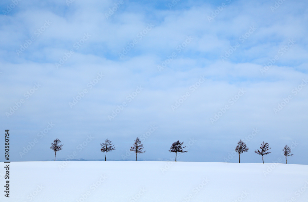 北海道の雪景色stock Photo Adobe Stock