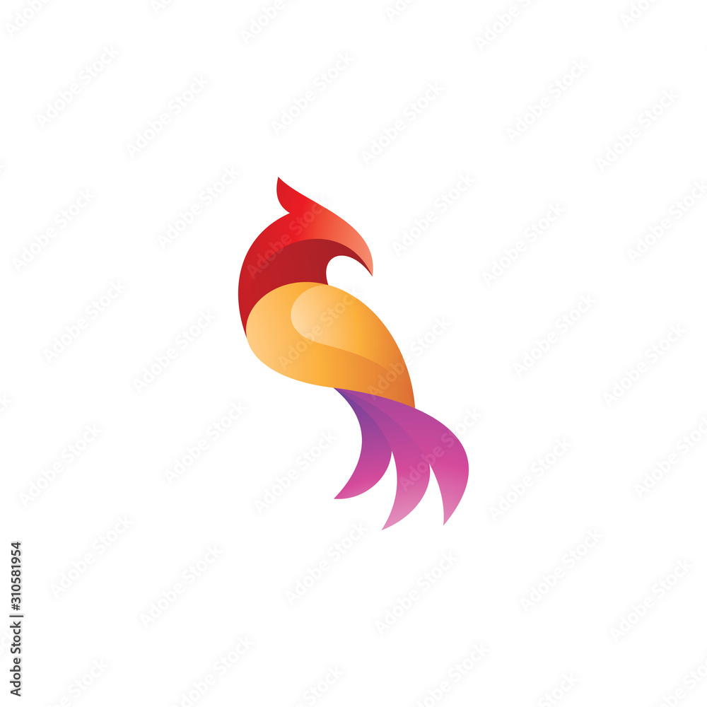 Abstract Colorful Bird Wing Tail Illustration Logo Abstract Colorful Bird Wing Tail Illustration Logo