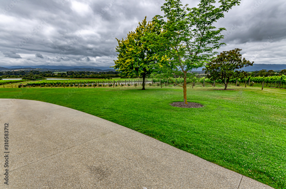 Obraz premium Storm Over Garden