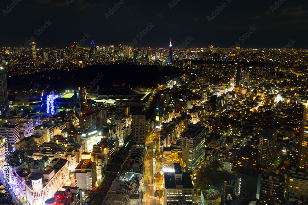 Obraz premium 東京夜景 渋谷から望む 新宿高層ビル群と代々木公園 2019年12月