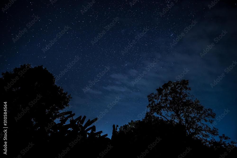 Sternenhimmel mit Baum