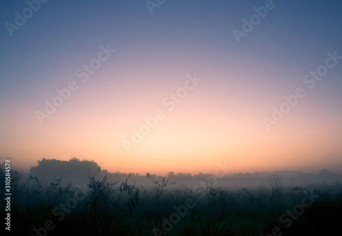 Morning landscape