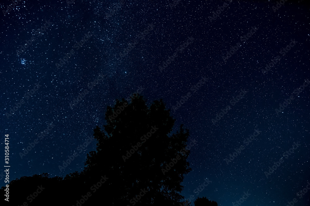 Fototapeta premium Sternenhimmel mit Baum