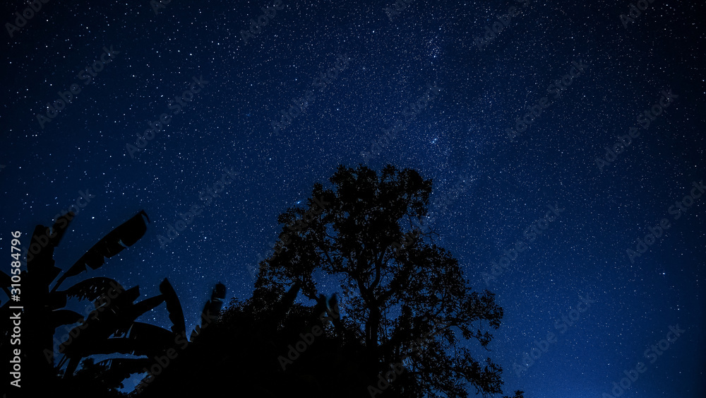 Fototapeta premium Sternenhimmel mit Baum