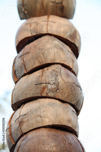 Stack of Coconut Shell