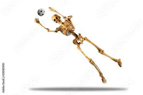 bone goal keeper jump to catch ball isolate on white background with clipping paths photo