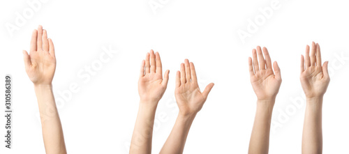 Hands of voting people on white background