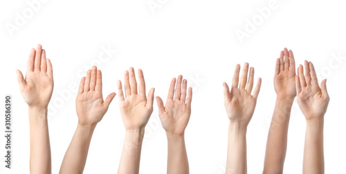Hands of voting people on white background