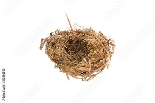 Empty bird nest isolated on white background