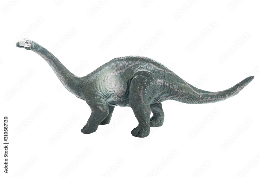 Brachiosaurus Dinosaur toy isolate on white background Brachiosaurus Dinosaur toy isolate on white background