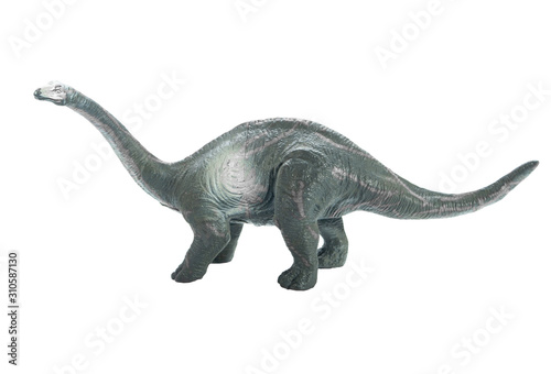 Brachiosaurus Dinosaur toy isolate on white background © sarayutoat