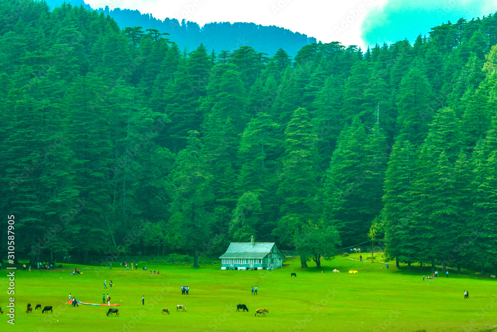 Khajjiar, the 'Mini Switzerland of India,' as it is often dubbed, is a  small hill station in the north Indian state of Himachal Pradesh. Photos |  Adobe Stock