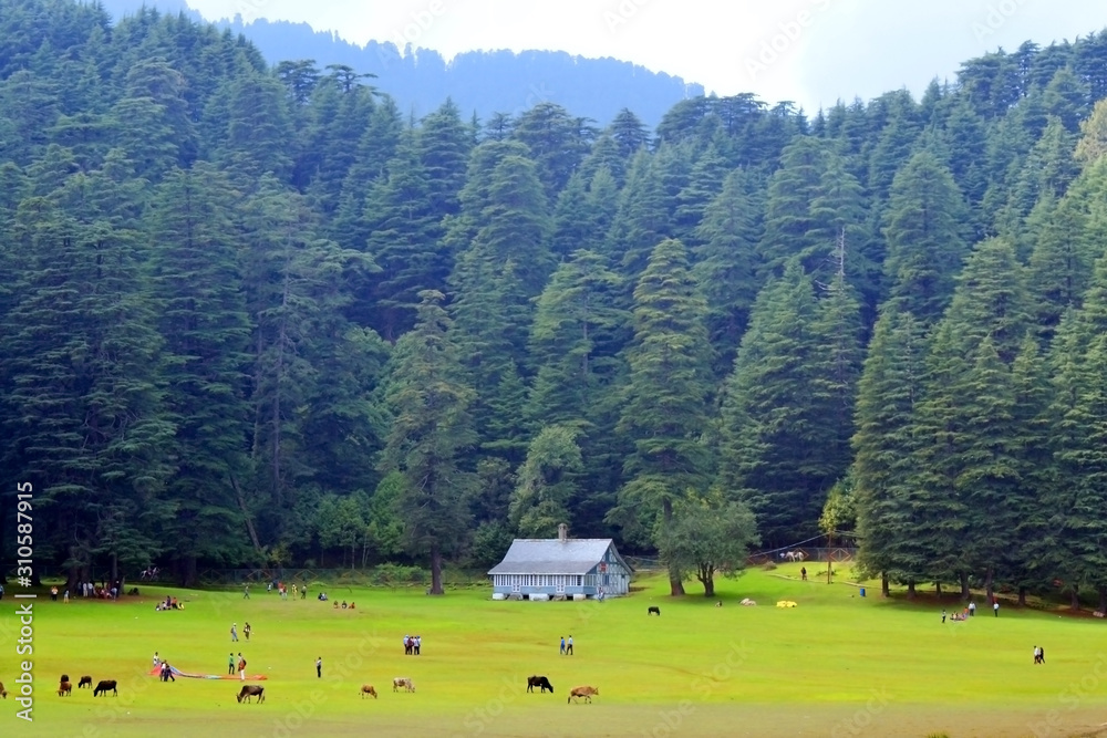 Khajjiar, the 'Mini Switzerland of India,' as it is often dubbed, is a small hill station in the north Indian state of Himachal Pradesh.