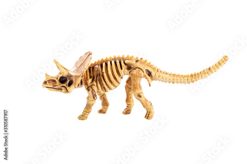 Fototapeta Naklejka Na Ścianę i Meble -  bone of Triceratops dinosaur plastic toy isolated white background
