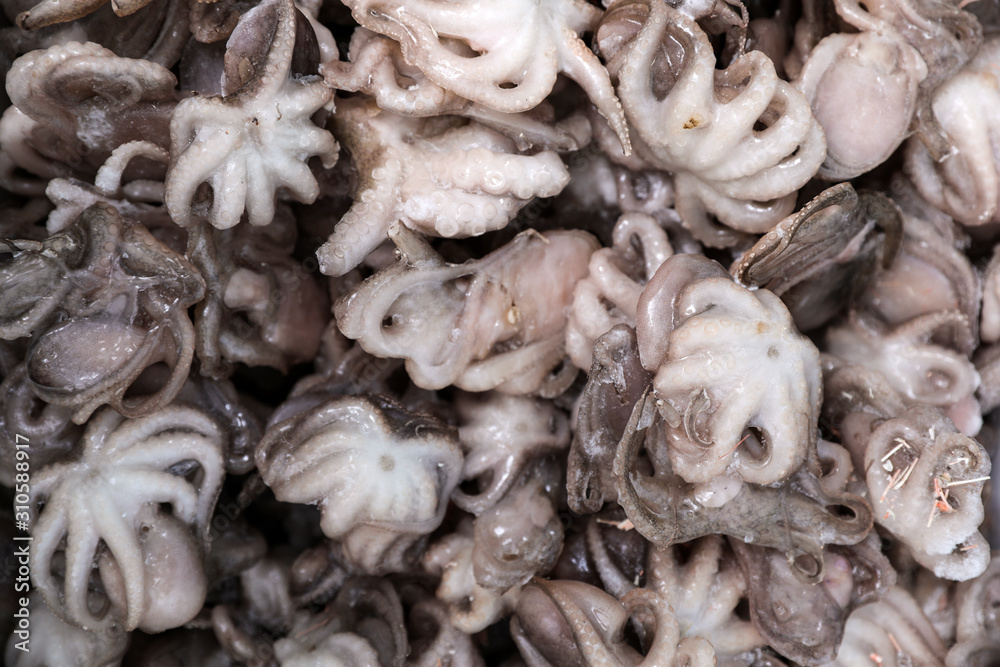 Frozen baby octopus as background, top view. Wholesale market Frozen baby octopus as background, top view. Wholesale market