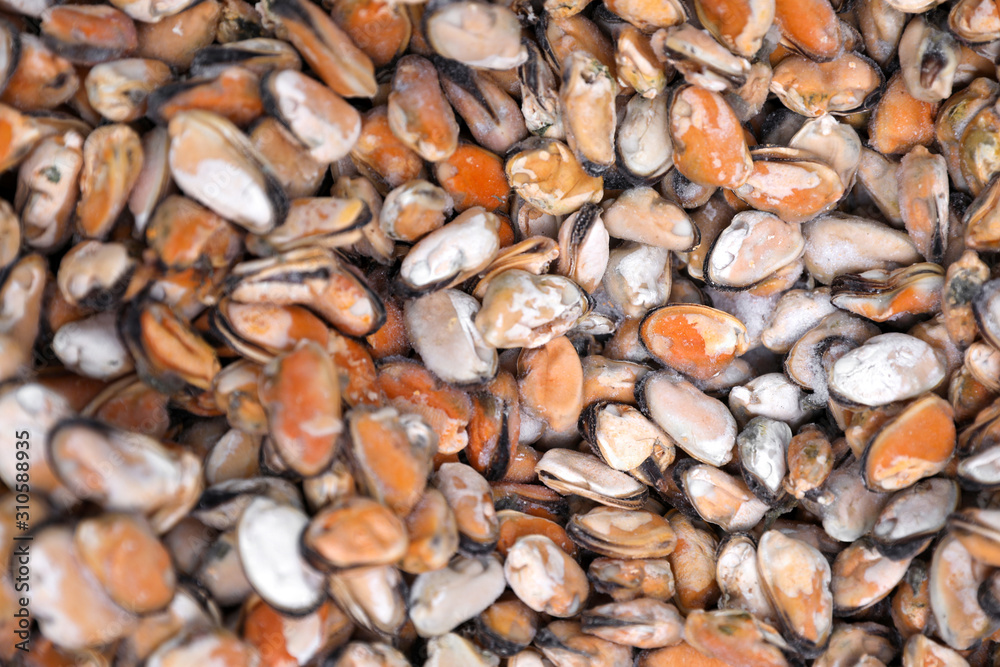 Fresh raw mussels as background, top view. Wholesale market Fresh raw mussels as background, top view. Wholesale market