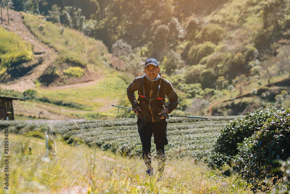 Naklejka premium Runners. Young people trail running on a mountain path. Adventure trail running on a mountain. Athletic attractive people running enjoying the sun exercising their healthy lifestyle.