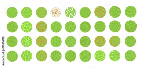 Various green trees, bushes and shrubs, top view for landscape design plan. Vector illustration, isolated on white background.