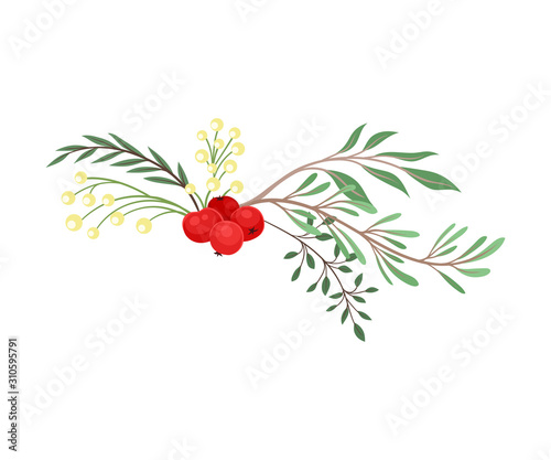 Winter Plant Elements Gathered in Vector Decorative Composition