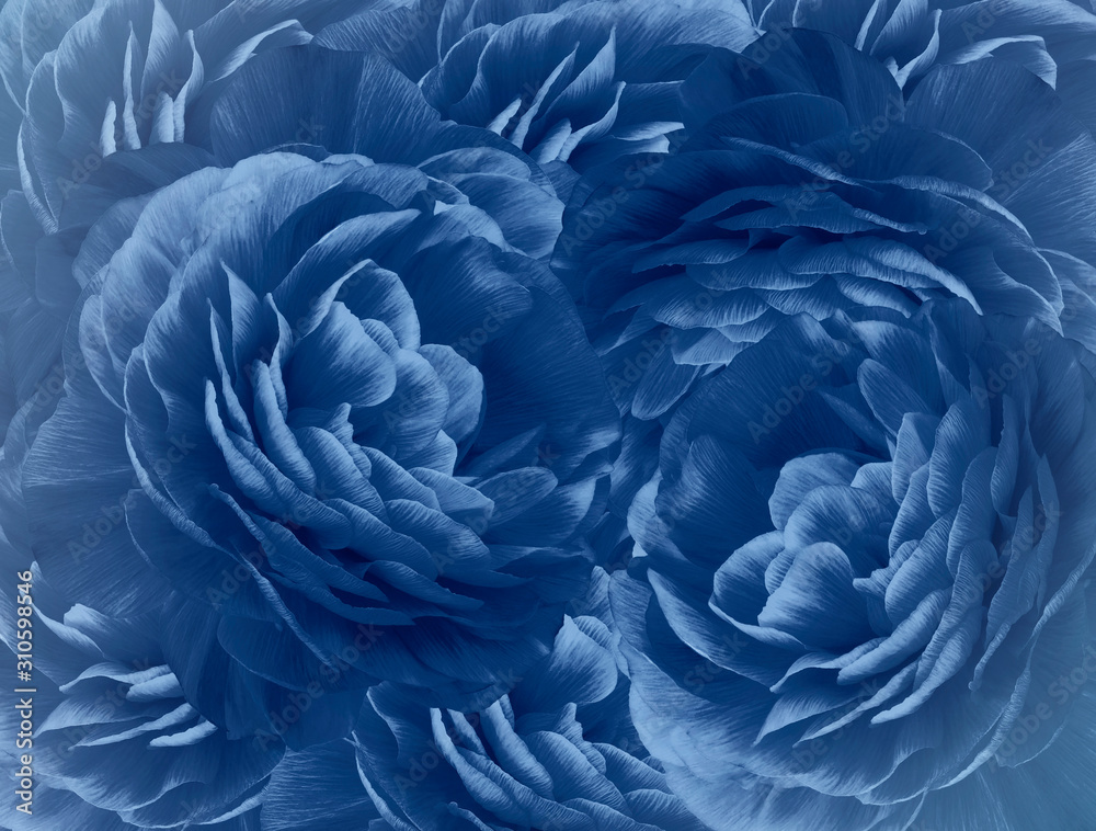 Floral bright blue background. A bouquet of blue roses flowers. Close-up. floral collage. Flower composition. Nature. Floral bright blue background. A bouquet of blue roses flowers. Close-up. floral collage. Flower composition. Nature.