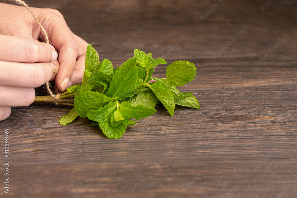 Hands making bunch of mint leaves. Fresh Peppermint background Hands making bunch of mint leaves. Fresh Peppermint background