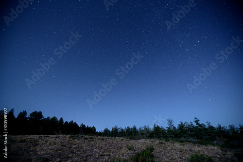 Photo background of mountain pines and night sky with stars