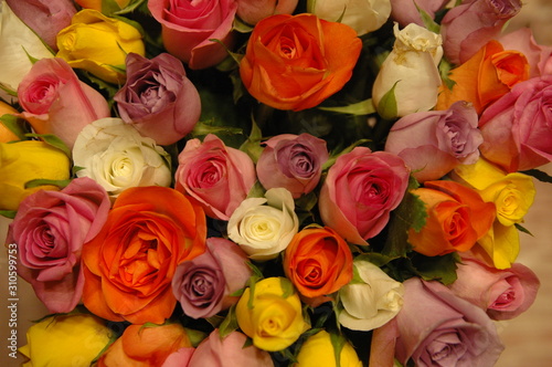 bouquet of roses © Nadejda_1979