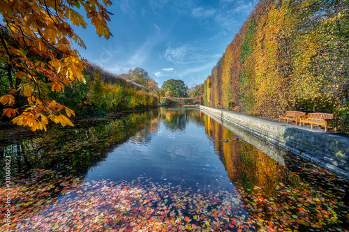 Fototapeta Naklejka Na Ścianę i Meble -  Gdansk, Poland, autumn - fragment of the Oliwa Park in the Gdansk Oliwa district