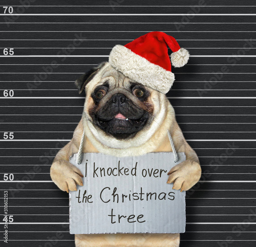 The dog in a red Santa Claus hat with a poster on his neck that says I knocked over the Christmas tree is in a prison. Black lineup background.