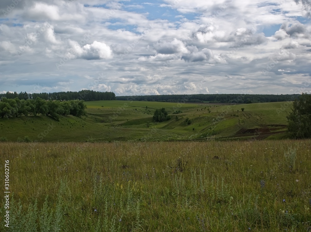 landscape of Central Russia on a cloudy day, summer.
