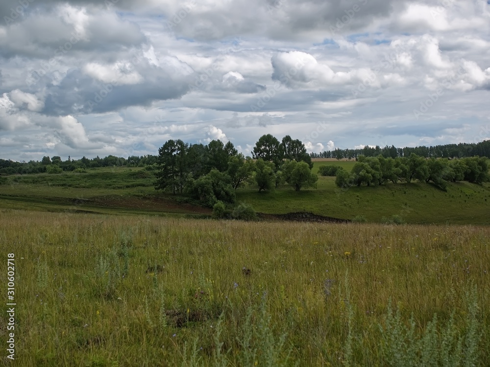 landscape of Central Russia on a cloudy day, summer.