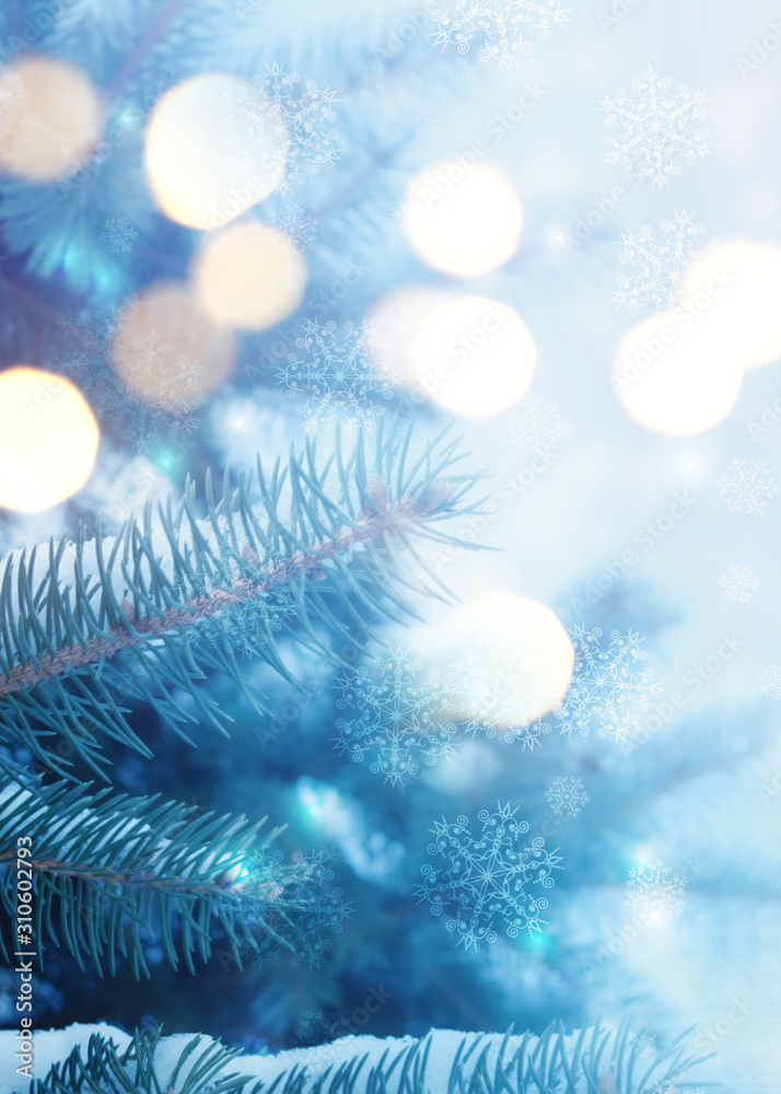 Naklejka premium Winter christmas background. Blurry pine branches close-up, New Year's blurry lights, snowflakes