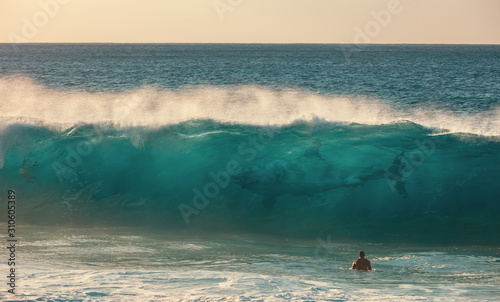 Fototapeta Naklejka Na Ścianę i Meble -  Ocean surfing extreme sport, Great White Shark hunting inside the wave