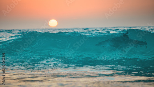 Fototapeta Naklejka Na Ścianę i Meble -  Sunset ocean wave with shark in it, tropical surfing sea background