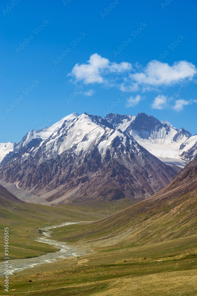 Majestic snow capped mountain peak with green alpine meadows