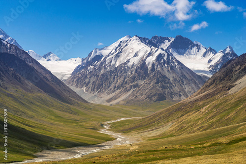 Majestic snow capped mountain peak with green alpine meadows