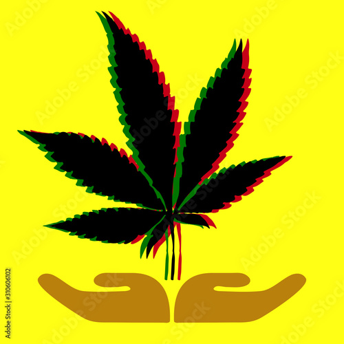 hand hold weed leaf against yellow background