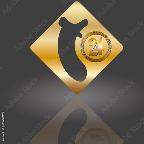 t 24 rund