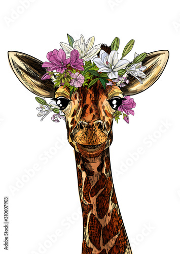 Portrait of cute giraffe with flowers on his head