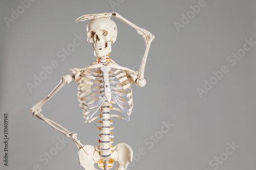 Fotografie Artificial human skeleton model on grey background